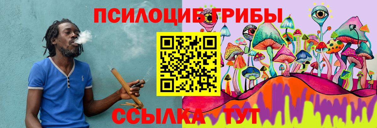 Псилоцибиновые грибы Psilocybe  Вход с VPN  Миасс 